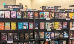 Dlaczego literaturze nie wystarcza język literacki w nowoczesnym świecie?