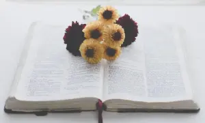 Kwiaty na otwartej Biblii, jakby fragment epopei.