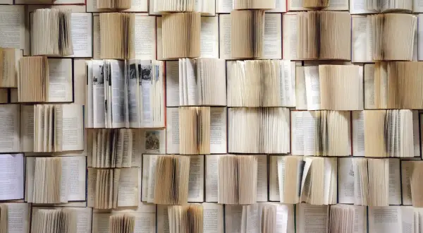 Co to jest literatura parenetyczna i jakie ma znaczenie w literaturze?