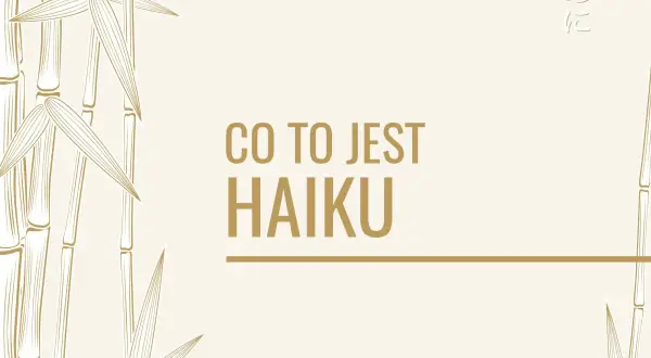 Bambusowe gałązki i napis "CO TO JEST HAIKU" na jasnym tle.