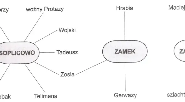 Schemat przedstawia pan tadeusz bohaterowie: Soplicowo (Tadeusz, Sędzia, Podkomorzy, Woźny Protazy, Rejent, Asesor, Ksiądz Robak, Telimena, Zosia), Zamek (Hrabia, Gerwazy) i Zaścianek (Maciej Dobrzyński, szlachta zagrodowa).