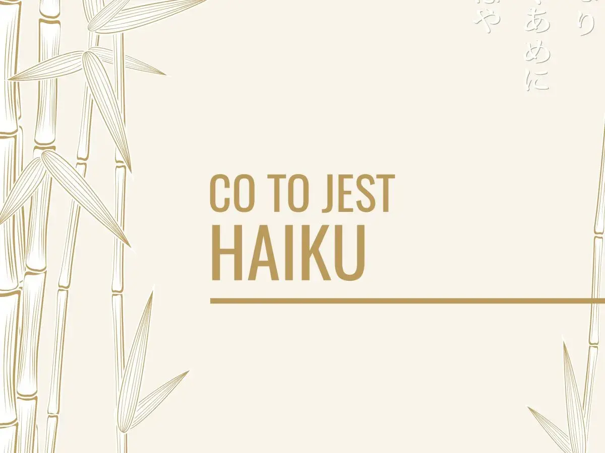 Bambusowe gałązki i napis "CO TO JEST HAIKU" na jasnym tle.